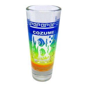 Vintage Cozumel Mexico Shot Glass with Colorful Fish & Underwater Scene Design